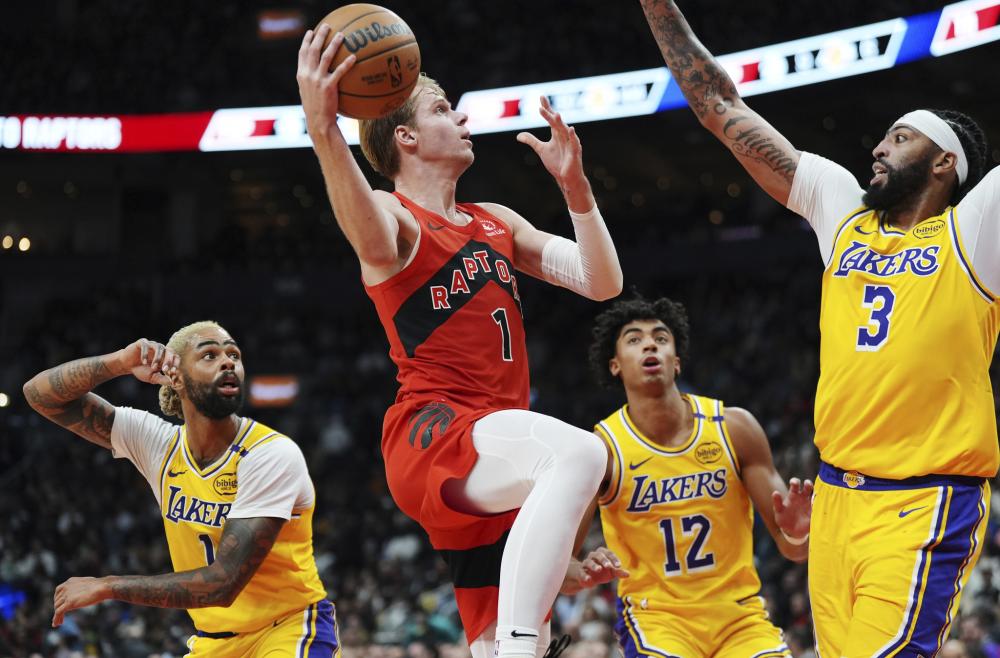 了什么是真 了什么是真