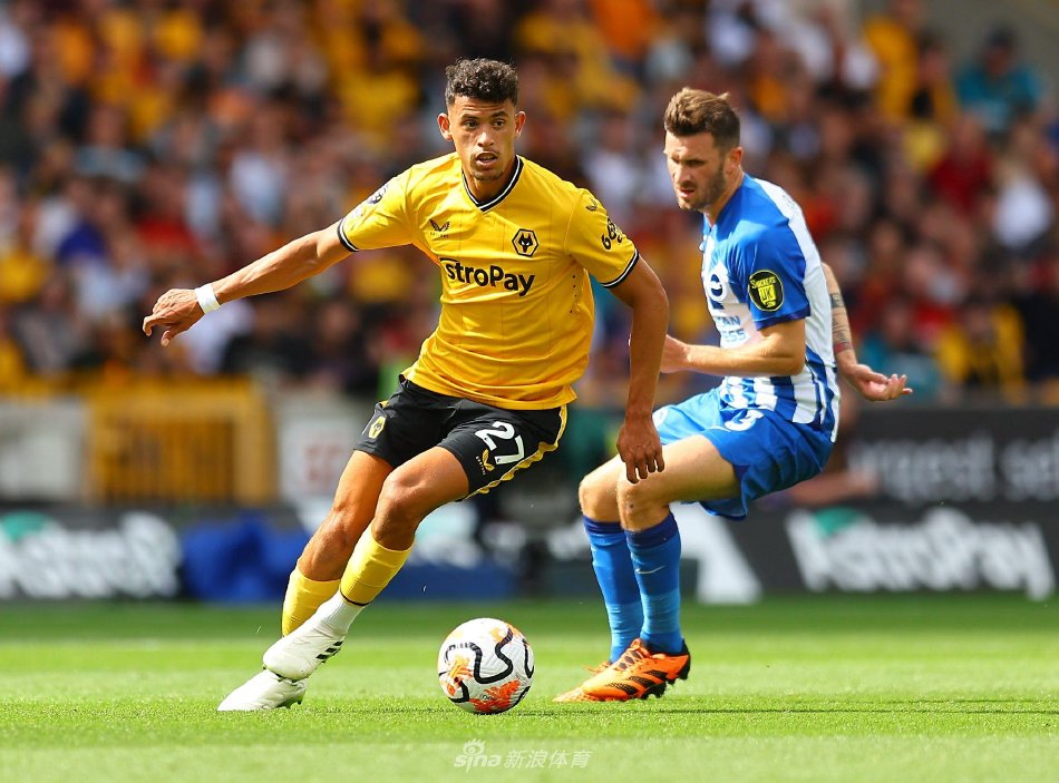 国际经贸环 国际经贸环